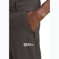 Pantaloni de trekking pentru bărbați Jack Wolfskin Pico Trail phantom 4