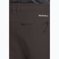 Pantaloni de trekking pentru bărbați Jack Wolfskin Pico Trail phantom 5