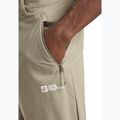 Pantaloni de trekking pentru bărbați Jack Wolfskin Pico Trail Zip Off stone 4