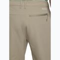 Pantaloni de trekking pentru bărbați Jack Wolfskin Pico Trail Zip Off stone 7