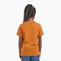 Tricou pentru copii  Jack Wolfskin Graphic Cotton T print soft amber 6