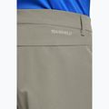 Pantaloni scurți de trekking pentru bărbați Jack Wolfskin Pico Trail stone 5