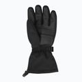 Mănuși de schi Jack Wolfskin Ins Ski black 3