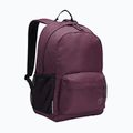 Rucsac urban pentru copii Jack Wolfskin Rebel 25 l amaranth 2