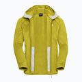 Bluză de trekking pentru bărbați Jack Wolfskin Peak District Hooded Full Zip chartreuse 9