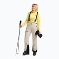 Pantaloni de schi pentru femei Jack Wolfskin Flowline Pro 2L Ins pale sand 2