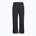 Pantaloni de schi pentru bărbați Jack Wolfskin Flowline 2L Ins black 8