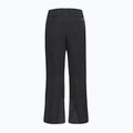 Pantaloni de schi pentru bărbați Jack Wolfskin Flowline 2L Ins black 9