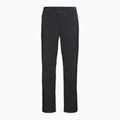 Pantaloni de trekking pentru bărbați Jack Wolfskin Trek Terrain black 8