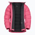 Geacă cu puf pentru femei Jack Wolfskin Ather Down Hoody bubblegum 9