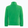 Hanorac fleece pentru copii Jack Wolfskin Taunus mystic green 2