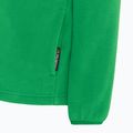 Hanorac fleece pentru copii Jack Wolfskin Taunus mystic green 5