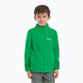 Hanorac fleece pentru copii Jack Wolfskin Taunus mystic green 7