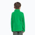 Hanorac fleece pentru copii Jack Wolfskin Taunus mystic green 8