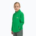 Hanorac fleece pentru copii Jack Wolfskin Taunus mystic green 10