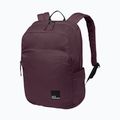 Rucsac de oraș Jack Wolfskin Terraview 20 l amaranth 2
