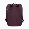Rucsac de oraș Jack Wolfskin Terraview 20 l amaranth 3