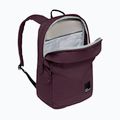Rucsac de oraș Jack Wolfskin Terraview 20 l amaranth 6