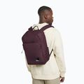 Rucsac de oraș Jack Wolfskin Terraview 20 l amaranth 10