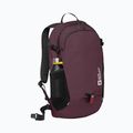 Rucsac Jack Wolfskin Velocity 20 l amaranth 2