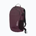 Rucsac Jack Wolfskin Velocity 20 l amaranth 3
