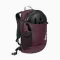 Rucsac Jack Wolfskin Velocity 20 l amaranth 6