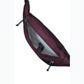 Borsetă Jack Wolfskin Konya Hipbag 2 l amaranth 4