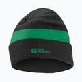 Căciulă de iarnă pentru copii Jack Wolfskin Stripy Knit slate green/mystic
