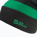 Căciulă de iarnă pentru copii Jack Wolfskin Stripy Knit slate green/mystic 3