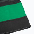 Căciulă de iarnă pentru copii Jack Wolfskin Stripy Knit slate green/mystic 6