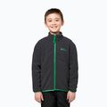 Geacă 3în1 pentru copii Jack Wolfskin Iceland 3IN1 mystic geen 15