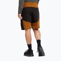 Încălțăminte de trekking pentru bărbați Jack Wolfskin Apex Hike Texapore Low black 9