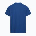 Tricou pentru bărbați Jack Wolfskin Essential blue orchid 6