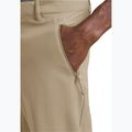 Pantaloni de trekking pentru bărbați Jack Wolfskin Pico Trail hazel wood 4