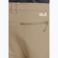 Pantaloni de trekking pentru bărbați Jack Wolfskin Pico Trail hazel wood 5