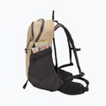 Rucsac de turism Jack Wolfskin Astro Vent 24 l hazel wood 5