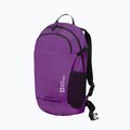 Rucsac Jack Wolfskin Velocity 20 l freesia 4