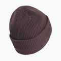 Căciulă de iarnă Jack Wolfskin Pergamon Beanie sheer plum 2