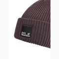 Căciulă de iarnă Jack Wolfskin Pergamon Beanie sheer plum 3