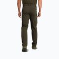 Pantaloni de trekking pentru bărbați Jack Wolfskin Activate Flex obsidian moss 2