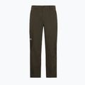 Pantaloni de trekking pentru bărbați Jack Wolfskin Activate Flex obsidian moss 7
