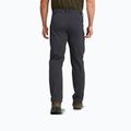 Pantaloni de trekking pentru bărbați Jack Wolfskin Activate Flex phantom 3