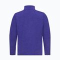 Bluză fleece pentru bărbați Jack Wolfskin Trail Half Zip glow ink 5