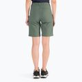 Pantaloni scurți de drumeție pentru femei Jack Wolfskin Activate Track verde 1503703_4311 4