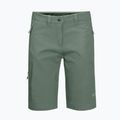Pantaloni scurți de drumeție pentru femei Jack Wolfskin Activate Track verde 1503703_4311 7