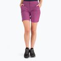 Pantaloni scurți de drumeție pentru femei Jack Wolfskin Hilltop Trail mov 1505461_2094_034