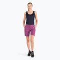 Pantaloni scurți de drumeție pentru femei Jack Wolfskin Hilltop Trail mov 1505461_2094_034 8