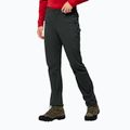 Pantaloni bărbătești pentru drumeții Jack Wolfskin Peak negru 1507491_6000_048
