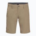 Pantaloni scurți de drumeție pentru bărbați Jack Wolfskin Desert Valley maro 1504741_5605_046 4