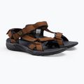 Jack Wolfskin sandale de drumeție pentru bărbați Lakewood Ride Sandal maro 4019021_5311_080 4